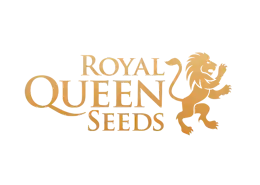 Home Royal Queen Seeds