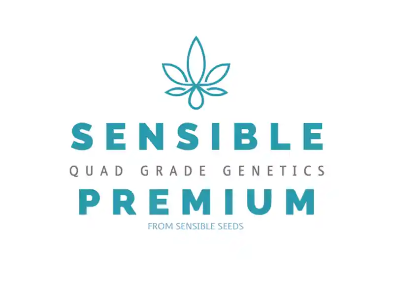 Sensible-Seeds-Premium-Logo