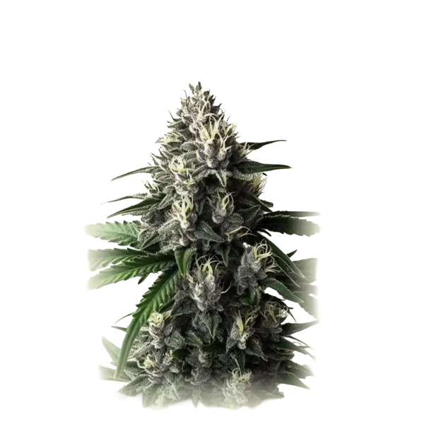 Auto Wedding Cake