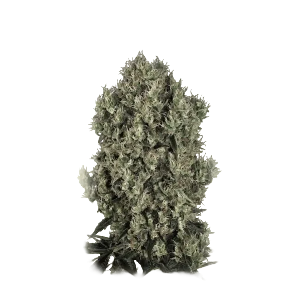 Blue Diesel
