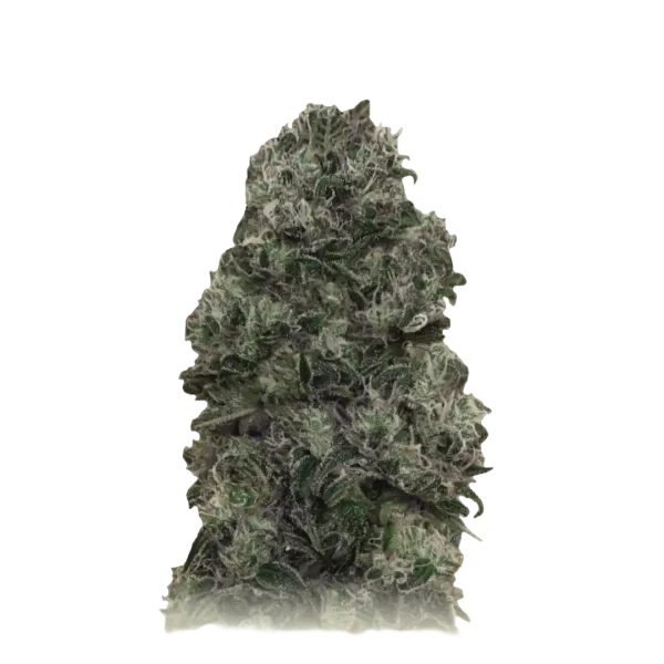 Bubblegum