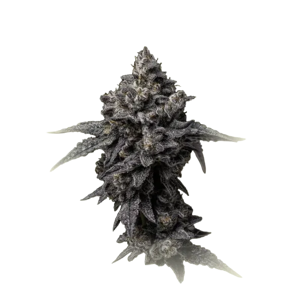 Hollyweed