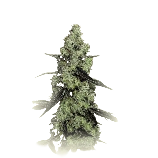 Lemon Thai