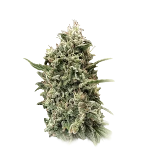 Strawberry Banana