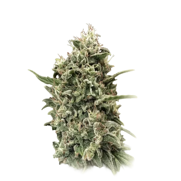 Strawberry Banana