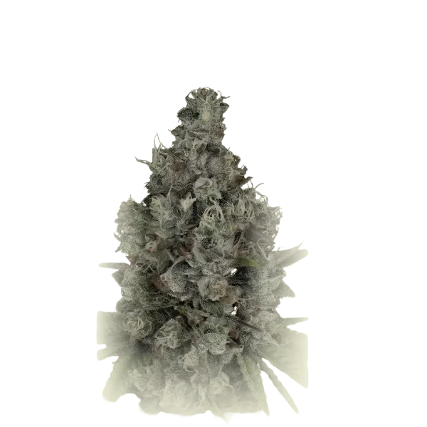 Zkittelz